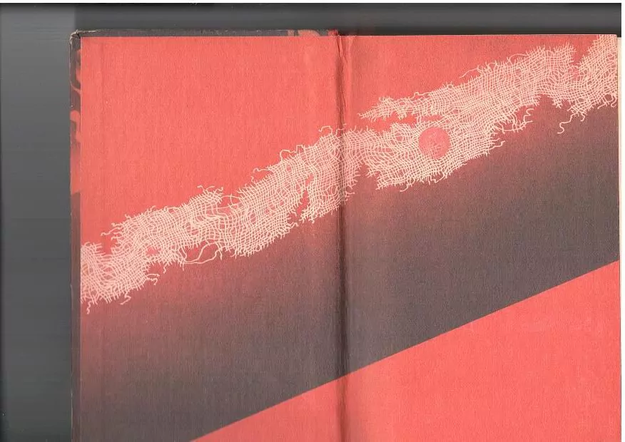 Ефименко В.М. Ветер богов. Хб, 1988 2 Ефименко В.М. Ветер богов. Хб, 1988 — изображение 2